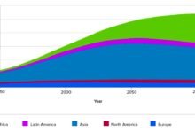 Immigration Trends and Demographic Shifts: Implications for Society