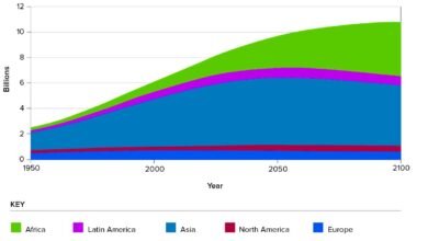 Immigration Trends and Demographic Shifts: Implications for Society