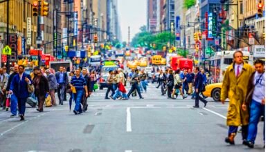 Integration or Segregation? Examining Immigration in Urban Environments