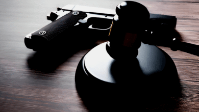 Gun Law