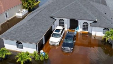 Property Claims in Florida