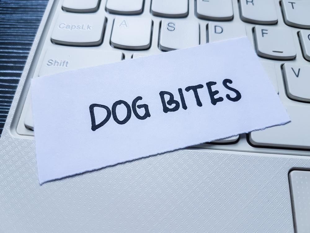 Dog Bite Injury